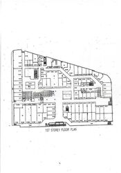 Lucky Plaza (D9), Shop House #490023741